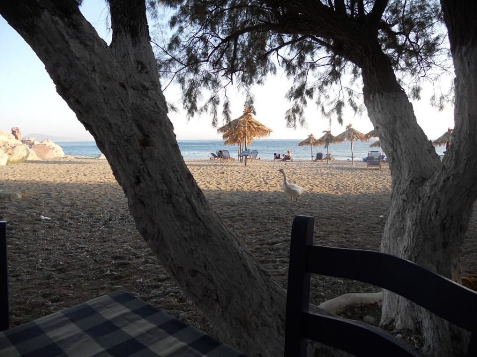 Strandrestaurant - Strand Hotel Little Inn