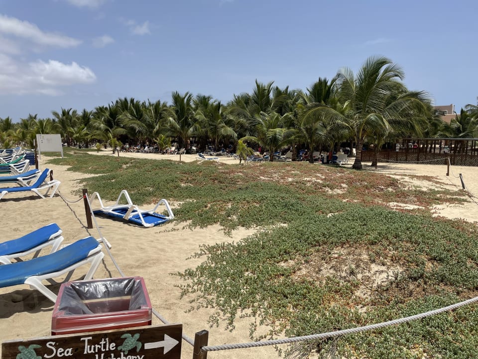 Strand Hotel Riu Cabo Verde