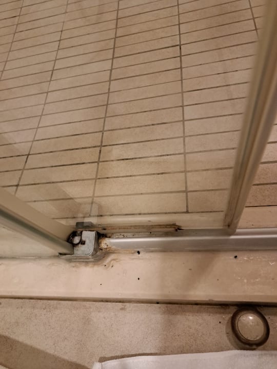 Zimmer Well Palace Side