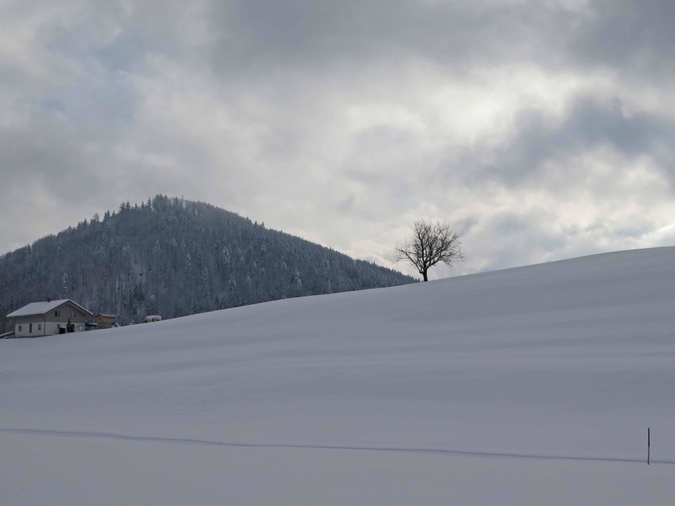 Panorama Haubers Naturresort