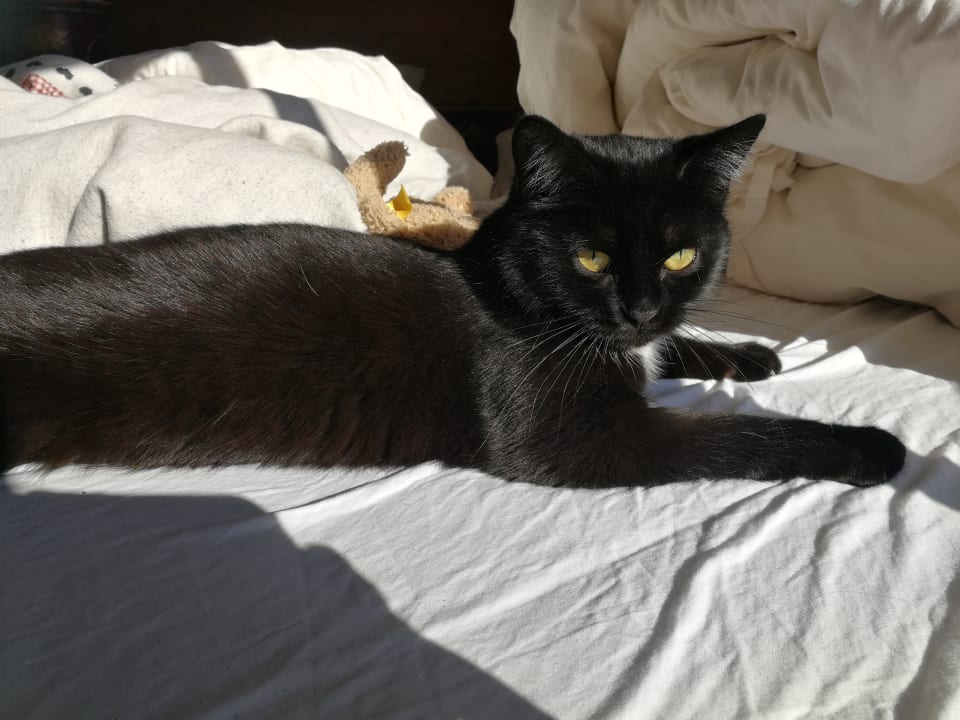 Sonstiges Bauernhof Haus Waldesruh