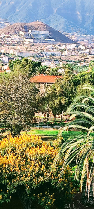 Ausblick TRH Taoro Garden