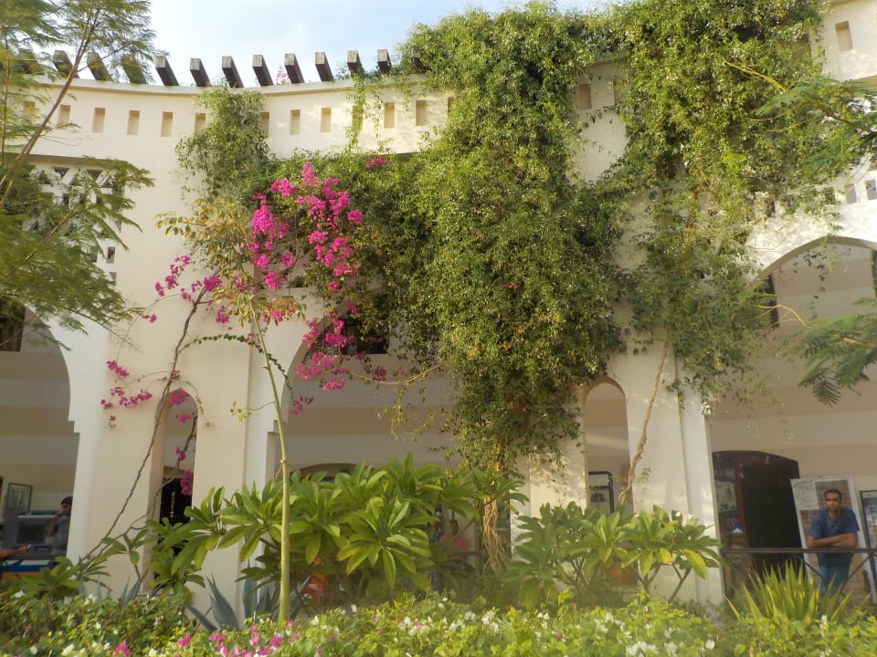 Von außen  Jaz Dar EL Madina