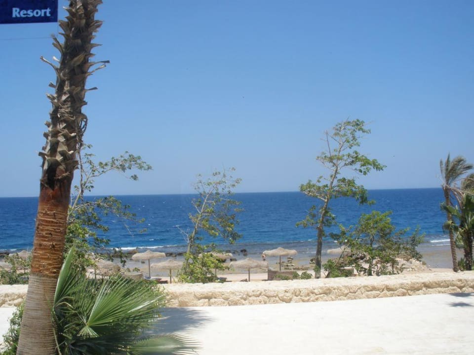 Plaża Pickalbatros Citadel Resort