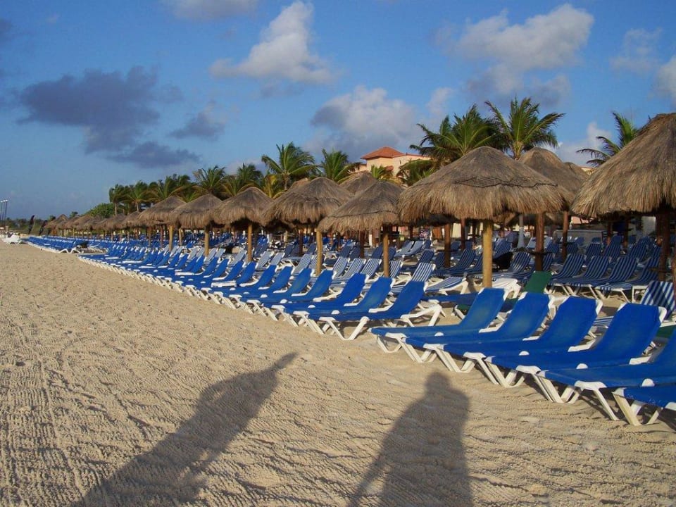 In Reih und Glied Sandos Playacar Select Club Adults only - All Inclusive