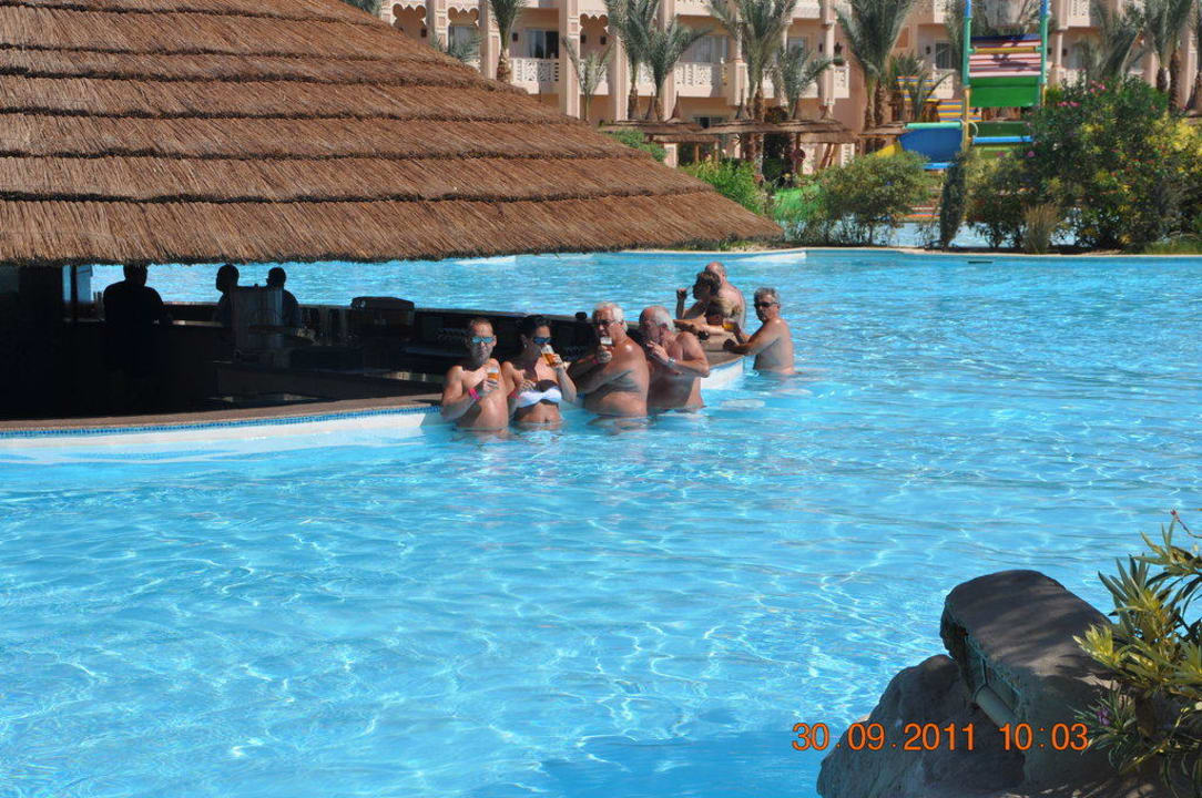 Schwimmbar-Poolanlage Pickalbatros Palace Resort