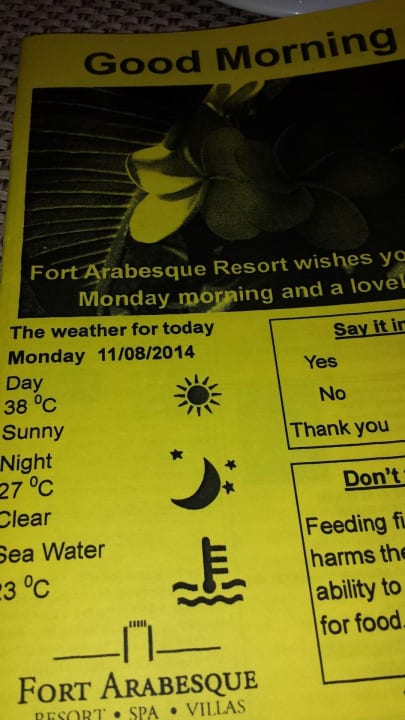 News am Morgen Fort Arabesque Resort, Spa & Villas