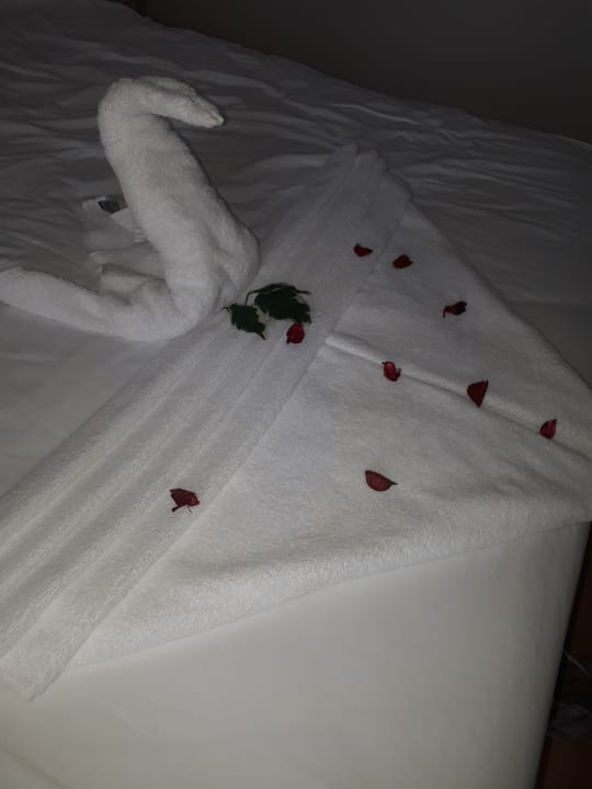 Zimmer Well Palace Side