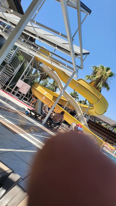 Pool Hotel Orfeus Park