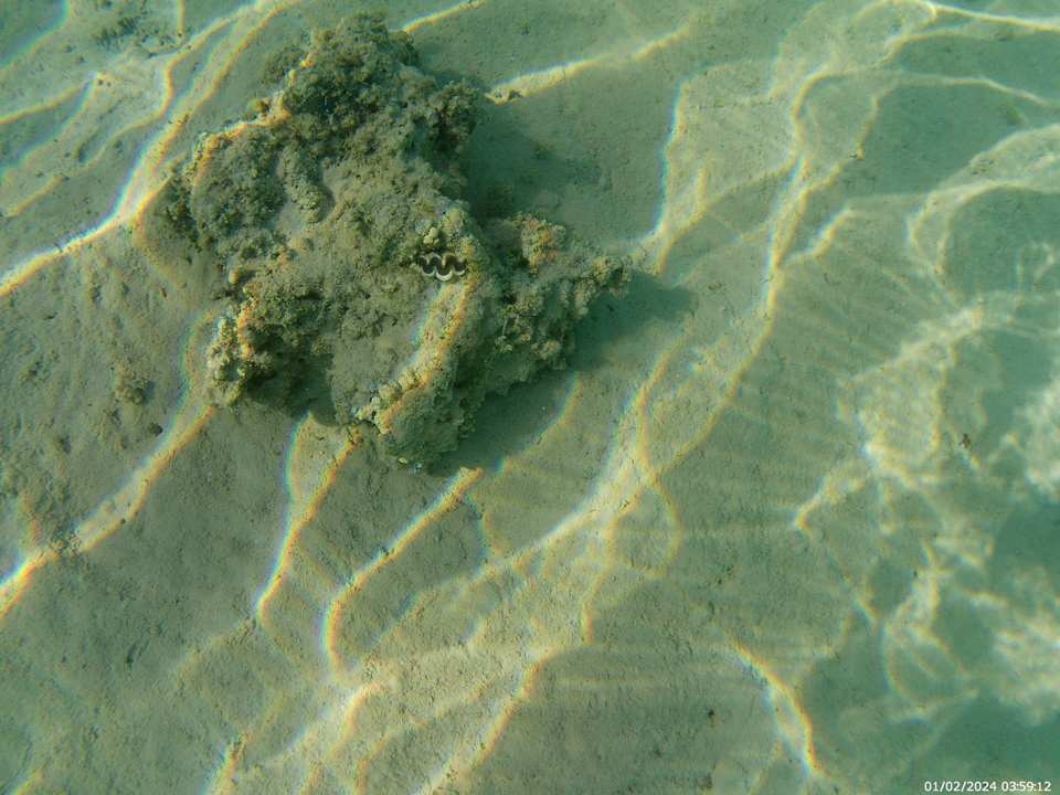 Strand The V Luxury Resort Sahl Hasheesh