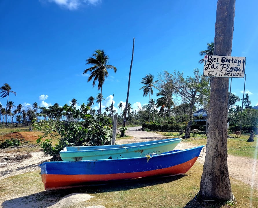 Gartenanlage Wyndham Alltra Samana