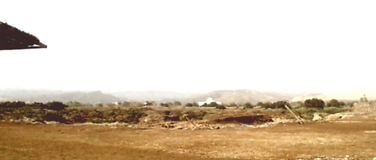 Aussicht vom Strand auf die Wüste Three Corners Equinox Beach Resort