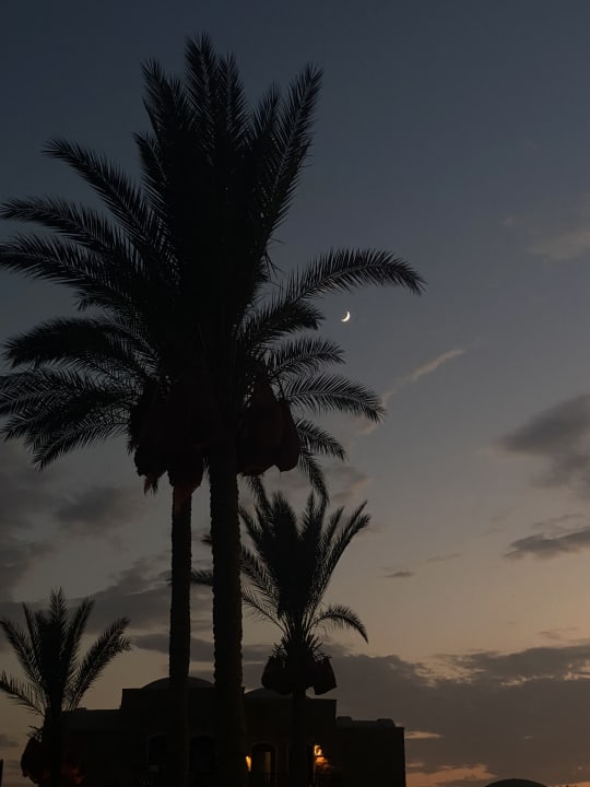 Ausblick Mövenpick Resort El Quseir