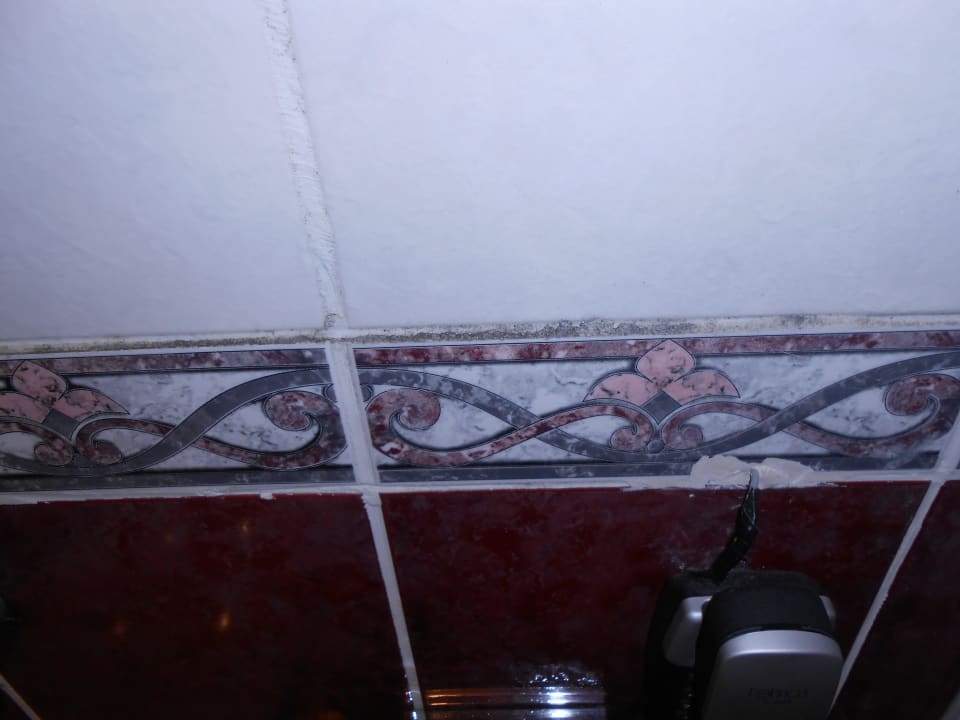 Im ganzen Bad Schimmelbefall Kamelya Aishen Club