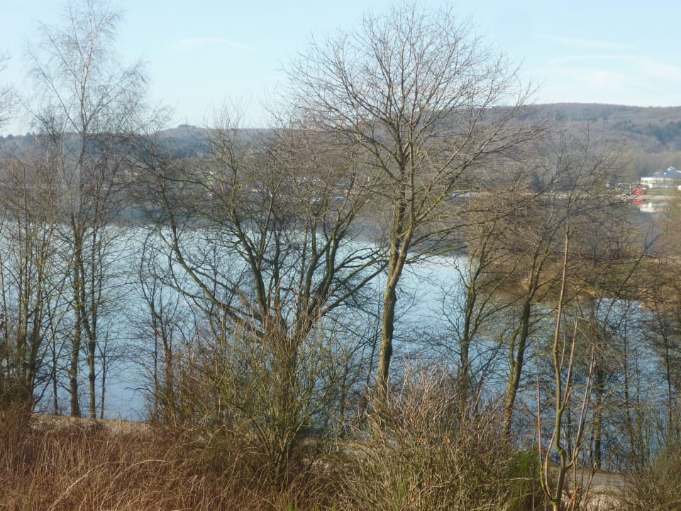 Ausblick Bungalow 469 Center Parcs Park Bostalsee
