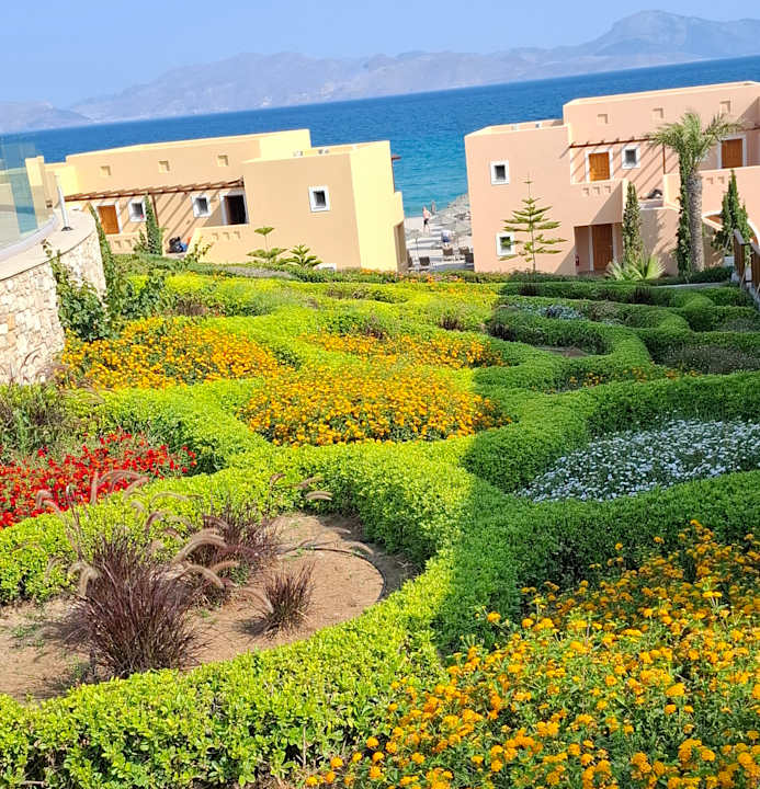 Gartenanlage Hotel Horizon Beach Resort