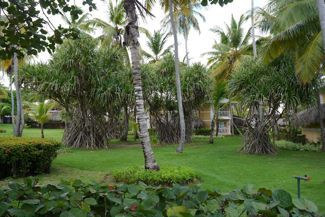 Sept. 2013 Grand Palladium Select Bávaro Resort & Spa
