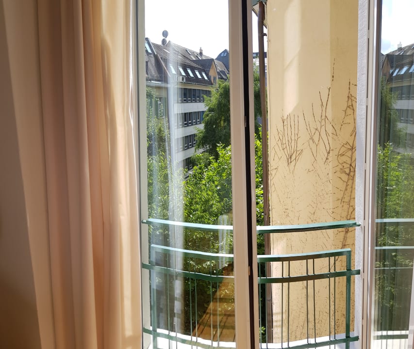 Ausblick Seegarten Swiss Quality Hotel