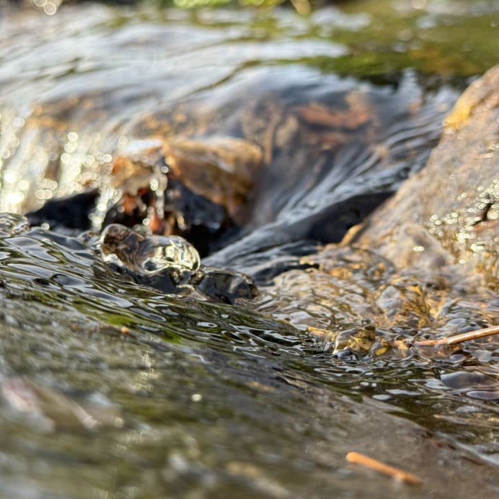 Gartenanlage Ferienhaus Lichtung