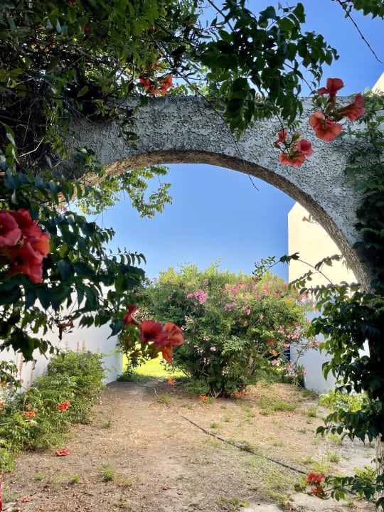 Gartenanlage Caravia Beach Hotel