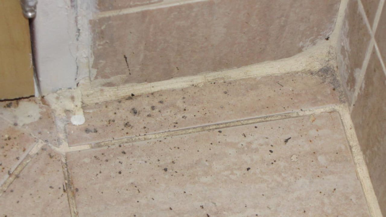 Na lecker! Polat Thermal Hotel