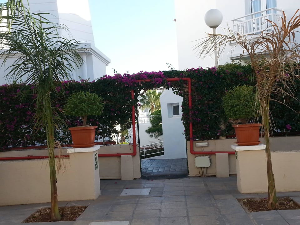 Grenze zwischen Los Olivios und Fanabe Beach Los Olivos Beach Resort