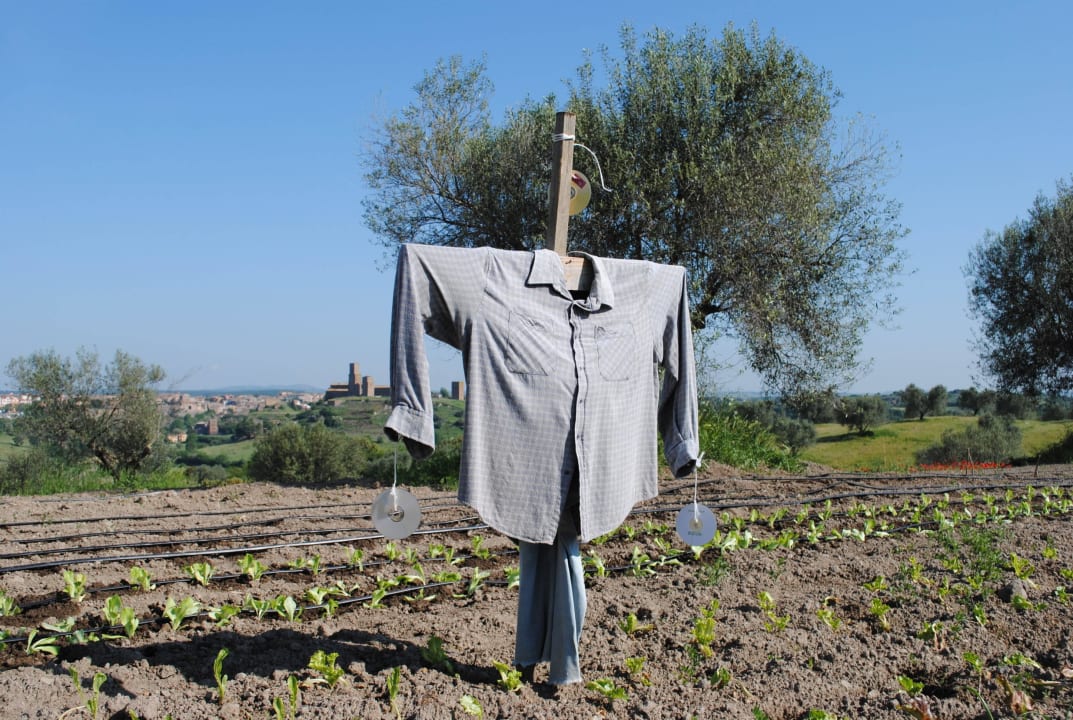 L'orto Casa Caponetti
