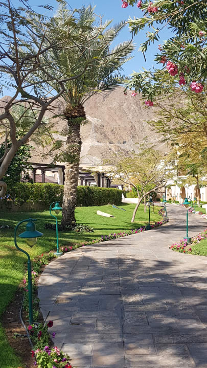 Gartenanlage Miramar Al Aqah Beach Resort