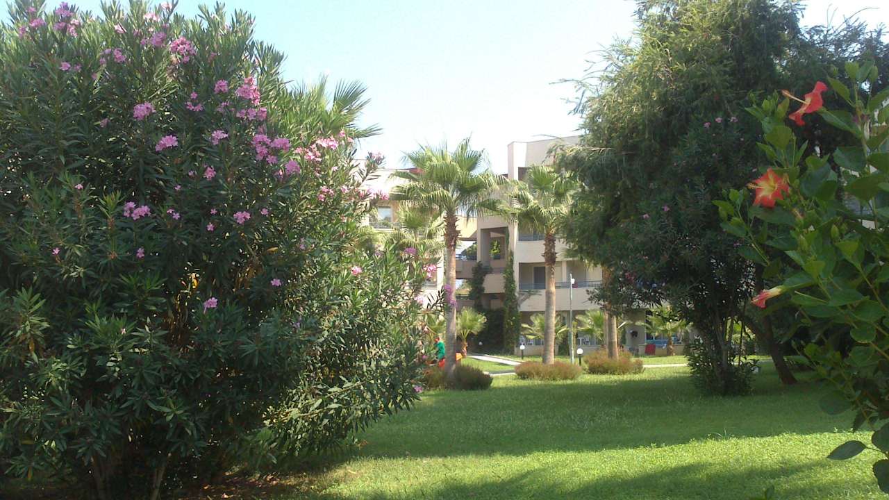 Schöne Blüten Labranda Alantur Resort