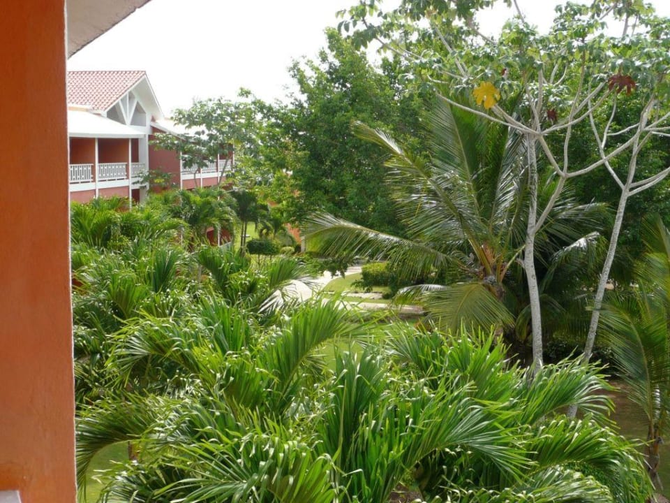 Aussenanlage BelleVue Dominican Bay