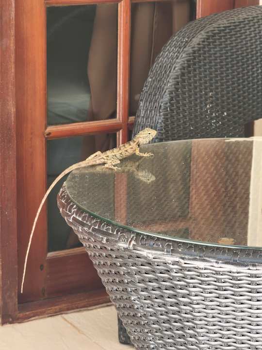 Zimmer Embudu Village