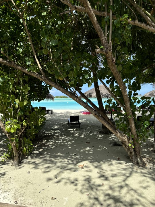 Strand Cinnamon Dhonveli Maldives