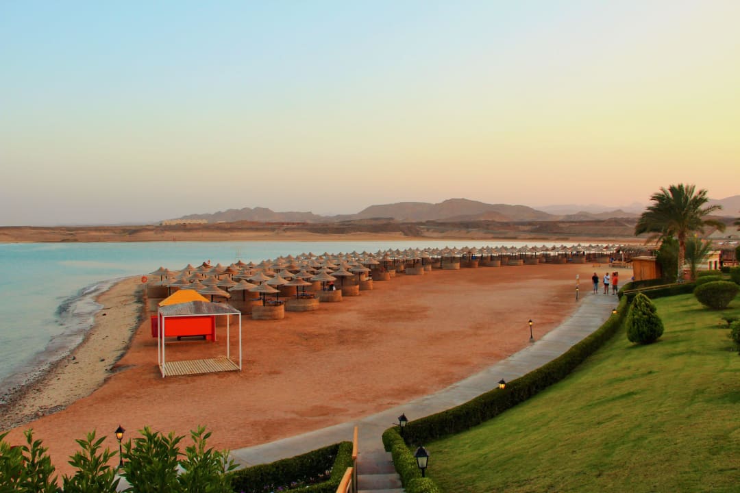 Strand mit Schirmen und Liegen TUI MAGIC LIFE Kalawy