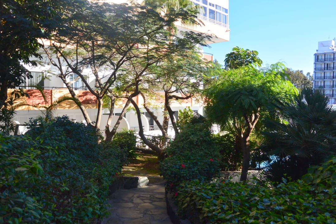 "Schattiger Garten, bei strahlenden Sonnenschein. " allsun