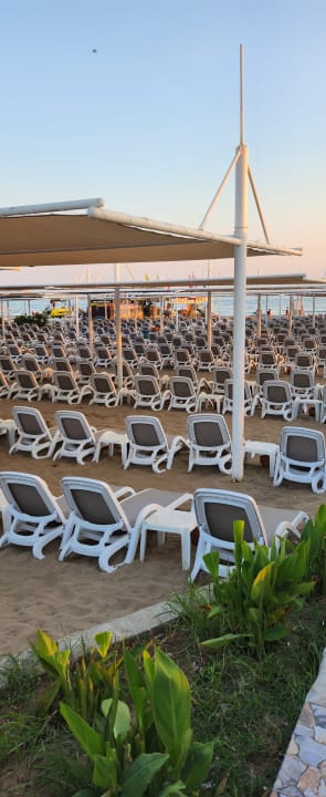 Strand Dream Family Club