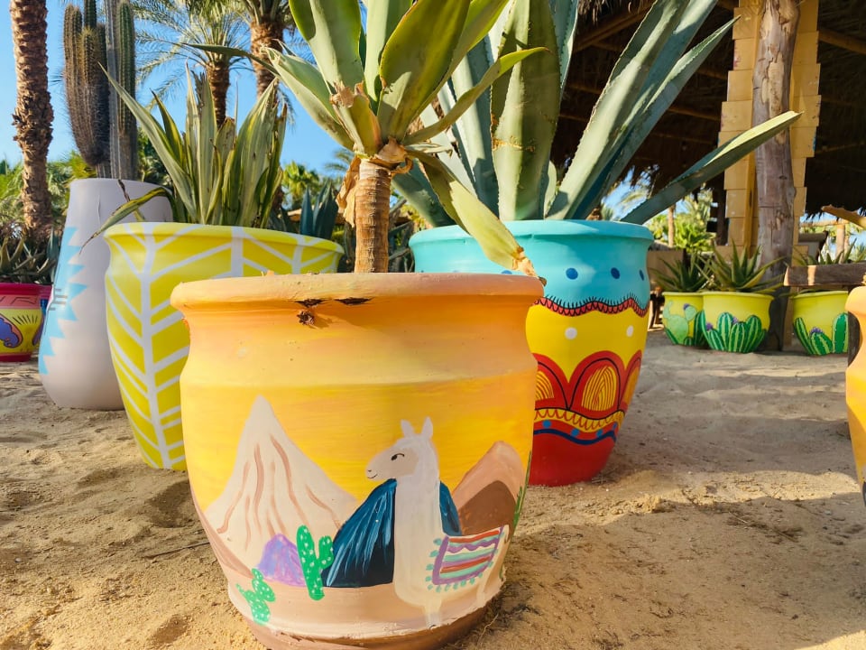 Strand Fort Arabesque Resort, Spa & Villas