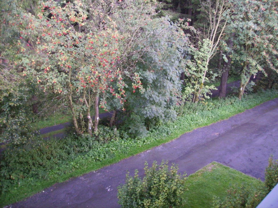 Ausblick Zimmer 222 Der schöne Asten - Resort Winterberg