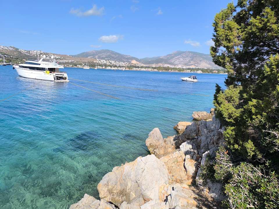 Sonstiges Paloma Family Club