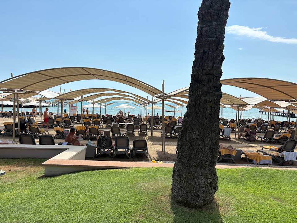 Außenansicht Papillon Ayscha