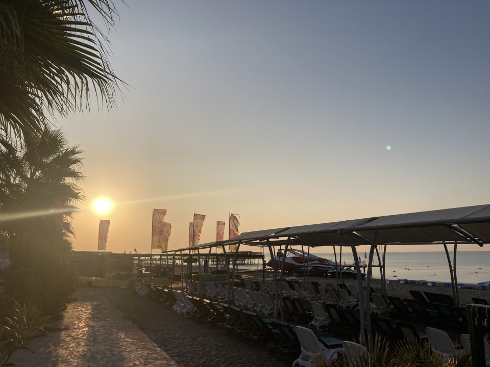 Strand Crystal Family Comfort Collection