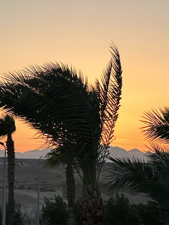 Ausblick Pickalbatros Palace Resort
