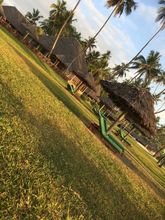 Gartenanlage Neptune Paradise Beach Resort & Spa