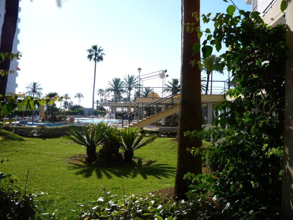 Ausblick vom Balkon aus auf den Garten allsun Hotel Bahia del Este