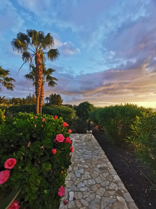 Gartenanlage Marina Playa Suite Hotel