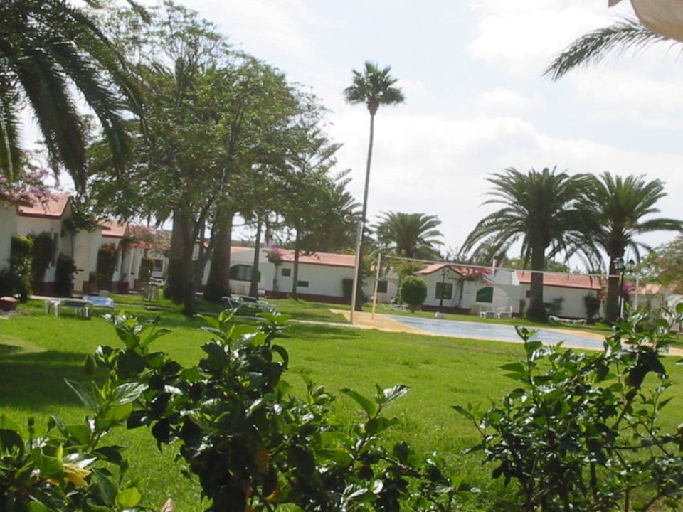 Volleyballfeld Rio Club I Canary Garden Club