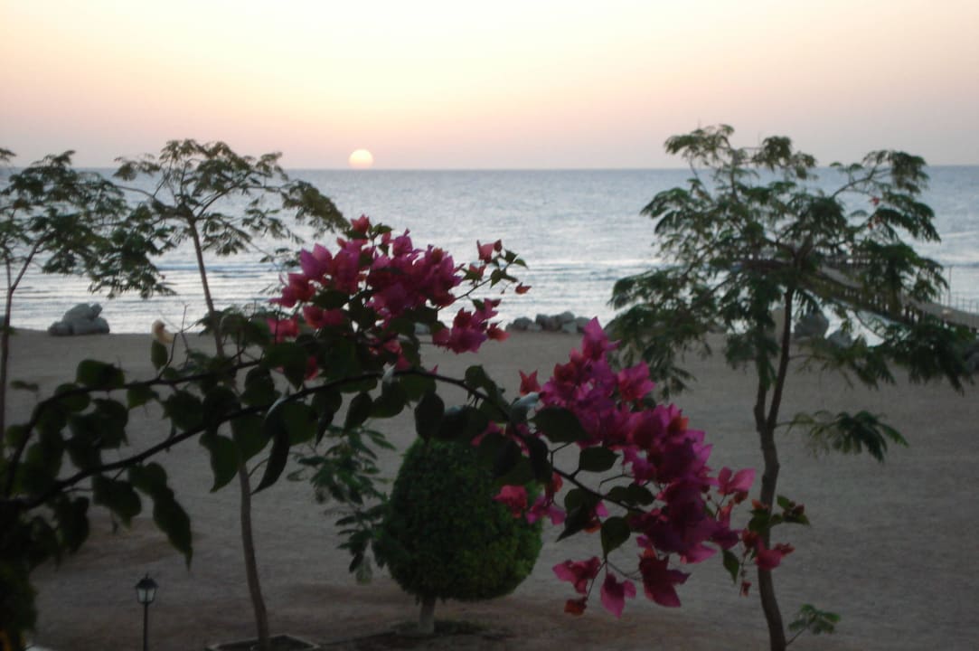 Sonnenaufgang TUI MAGIC LIFE Kalawy