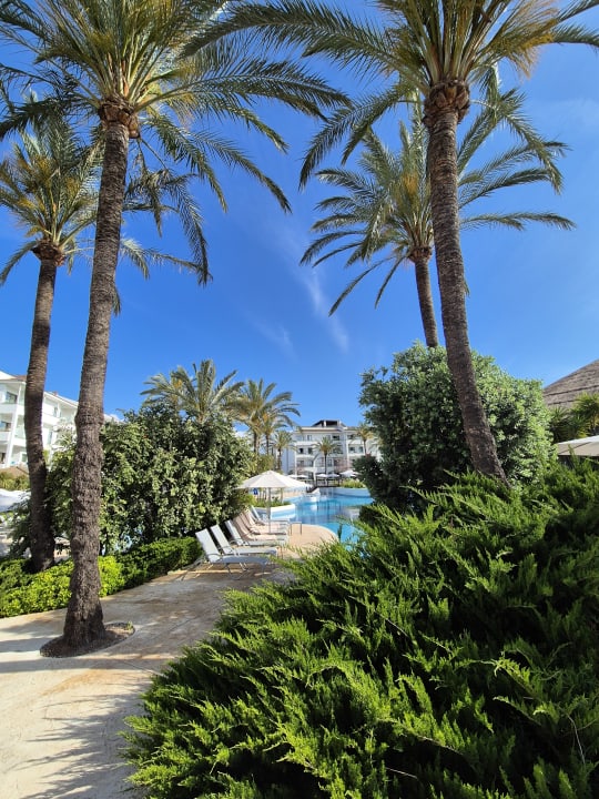 Pool Prinsotel La Dorada