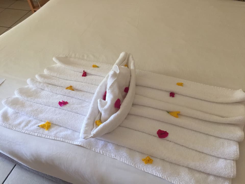 Zimmer Hotel JAZ Makadi Star & Spa