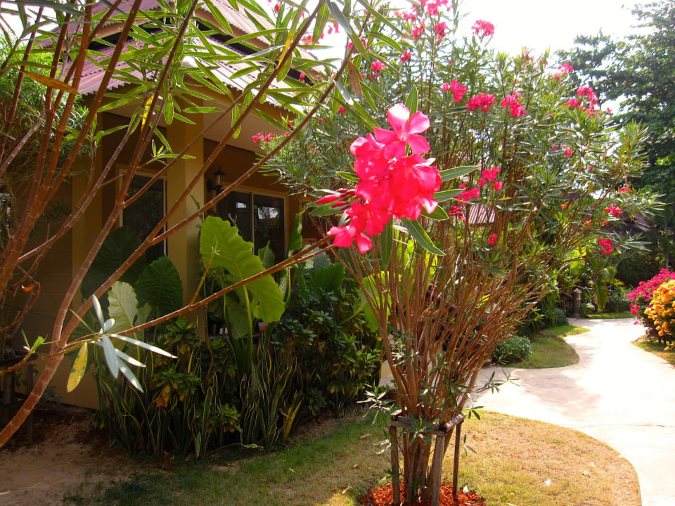 Schöner Garten Hotel Lanta Castaway Resort