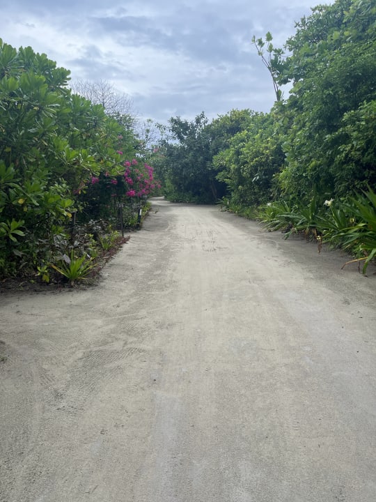 Gartenanlage Hondaafushi Island Resort